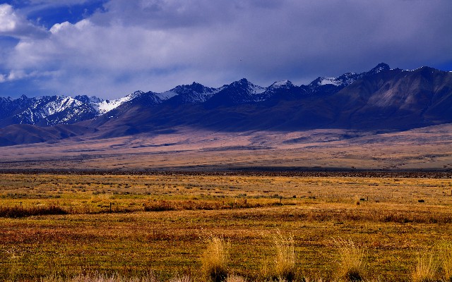 白条怎么套现的呀_花呗商家等级划分