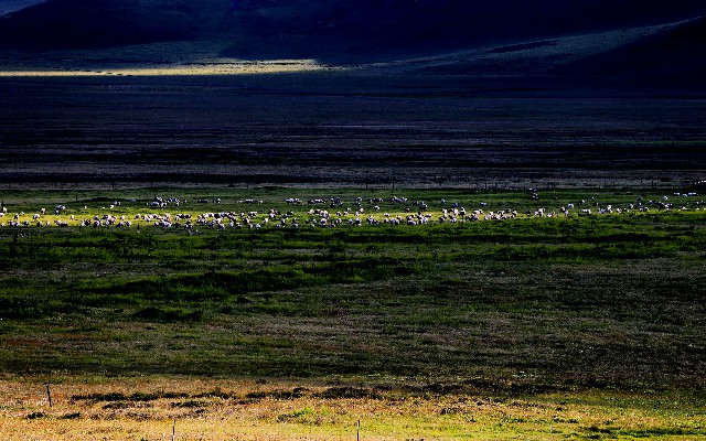 花呗分期商家风控要多久_羊小咩享套额度是真的吗