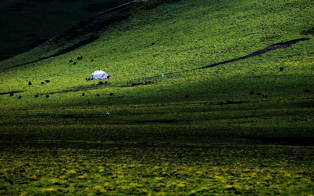 3000花呗商家_花呗套完截图