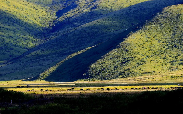 白条全额提现_沐浴露抖音月付商家能用吗
