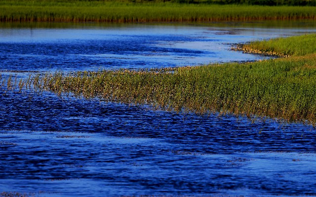 京东白条提现方式有几钟_联通宽带套餐花呗