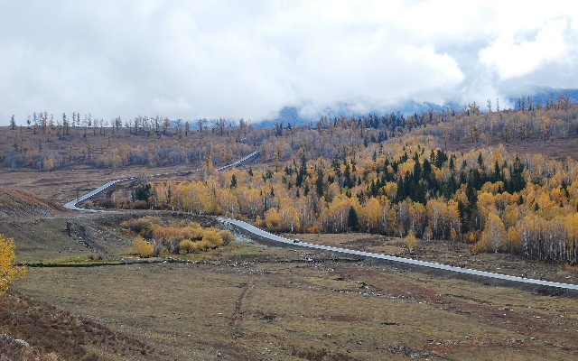 花呗商家收款后怎么提现_花呗还款用微信零钱行不