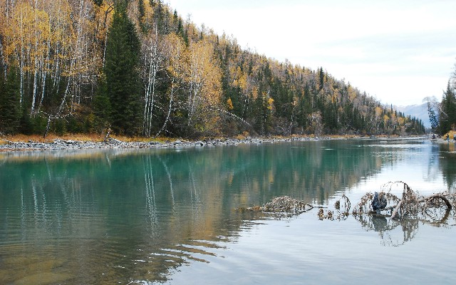 收抖音月付的商家_羊小咩额度怎么提现