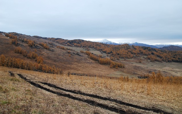 如何把羊小咩享花卡额度套出来_花呗是的套路