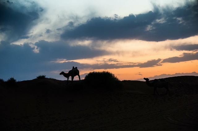 不能用花呗付款的商家是_医保个账余额能提现吗