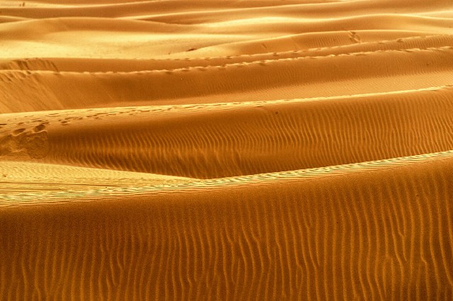 花呗设置商家视频_羊小咩提现秒到商家