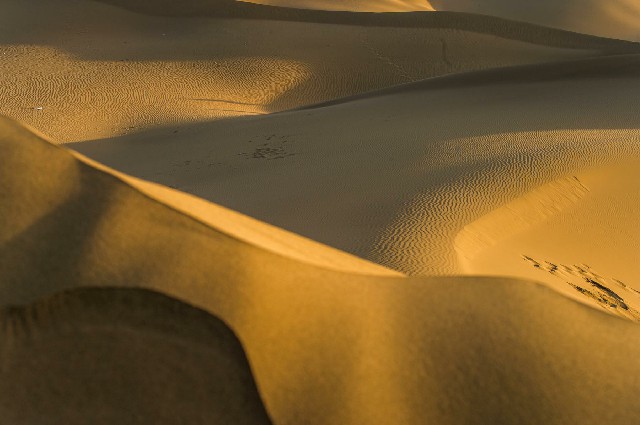 可以套花呗借呗支付平台_京东商家花呗额度
