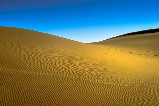 咸鱼套现白条_口碑花呗套现