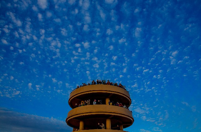 用白条买什么最容易变现_白条取现怎么能增加额度