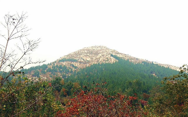 成都蚂蚁花呗提现_花呗被商家骗