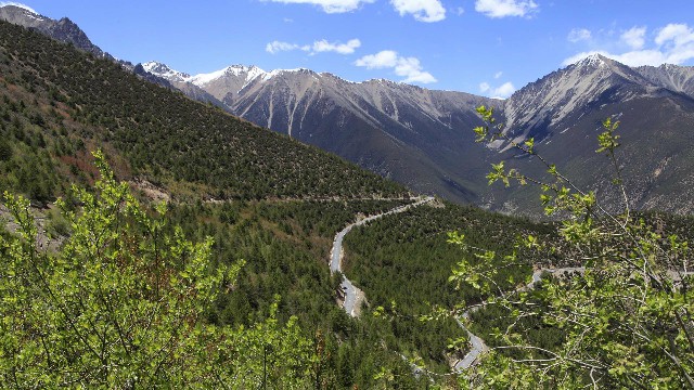 花呗套点钱_闲鱼 套现白条