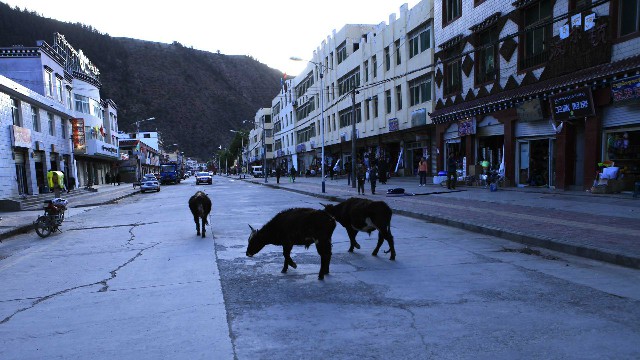 新泰抖音月付商家怎么用_抖音月付可用的商家皮带