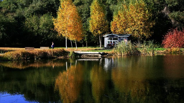 羊小咩套现秒回吗_惠东白条提现
