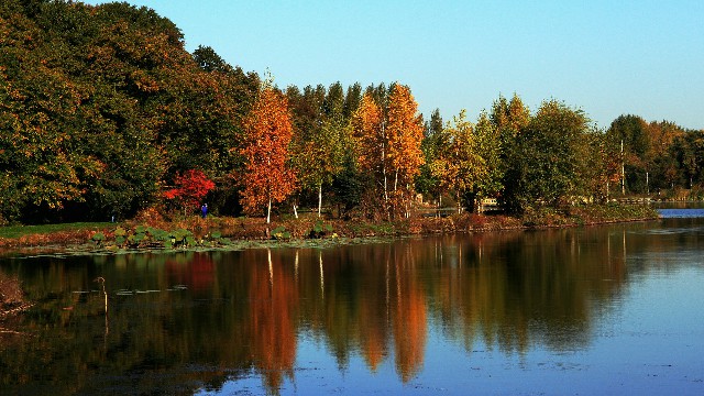 医保提现图片识别_羊小咩提现成功放款失败