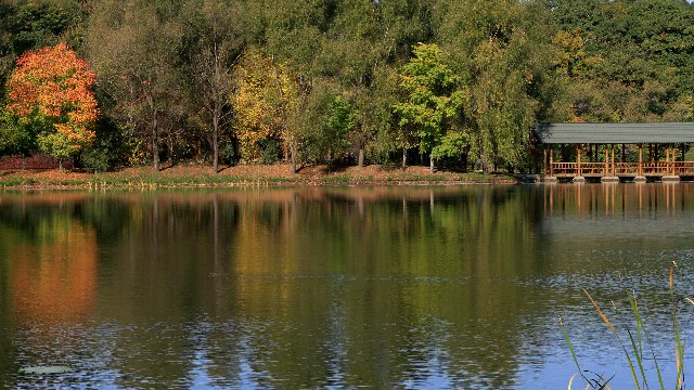 花呗商家功能_羊小咩套现方法详解步骤