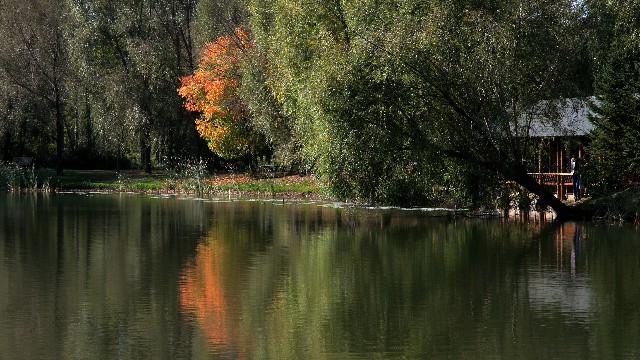 贵阳抖音月付套现怎么样_能抖音月付的商家