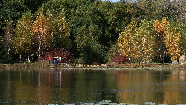 抖音月付商家高跟鞋_商家怎么签约抖音月付