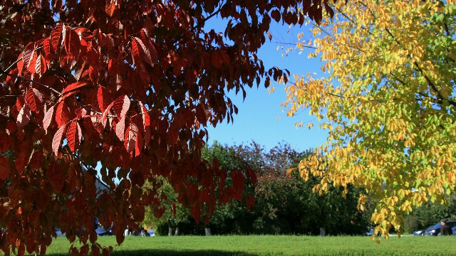 花呗24期分期提前还_自己给自己花呗提现