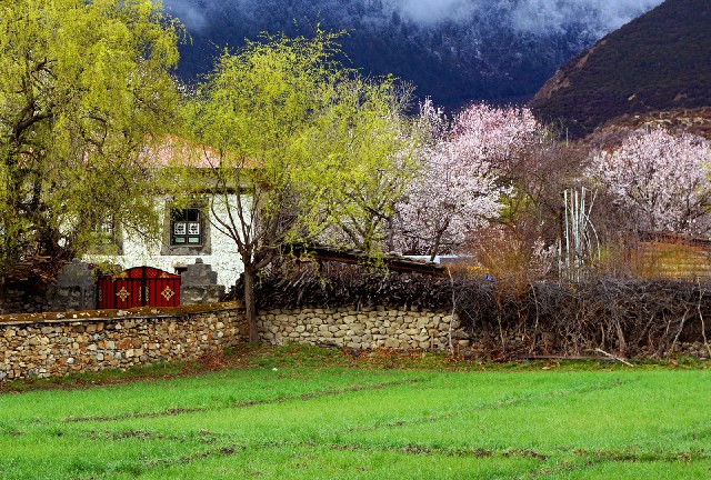 抖音好多商家不支持月付_花呗套1000块