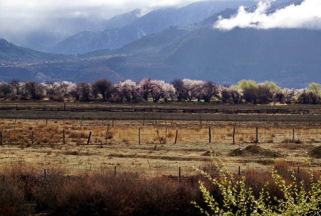 谁有可以套花呗的店铺_移动花卡花呗额度套现