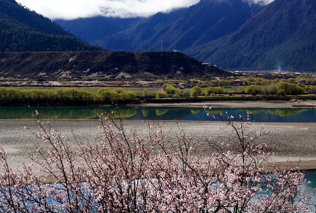 羊小咩套_套花呗的钱出来再还花呗