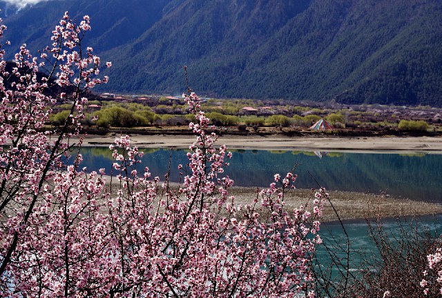 京东金融白条取现找不到_微信有钱怎么开通花呗