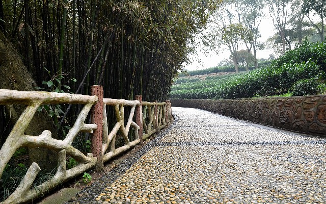 查询微信花呗_重庆抖音月付提现