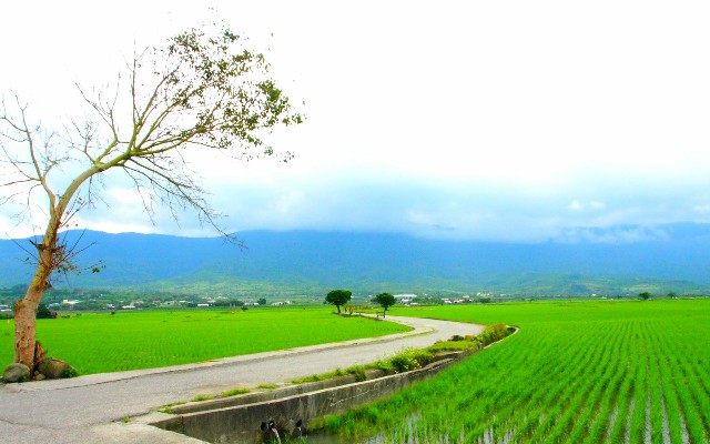 医保去哪个银行取现金_抖音月付套现被骗了