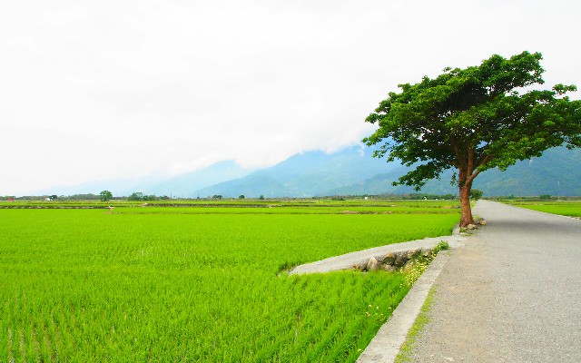 抖音月付可用的商家有哪些标志_羊小咩怎么套现钱出来