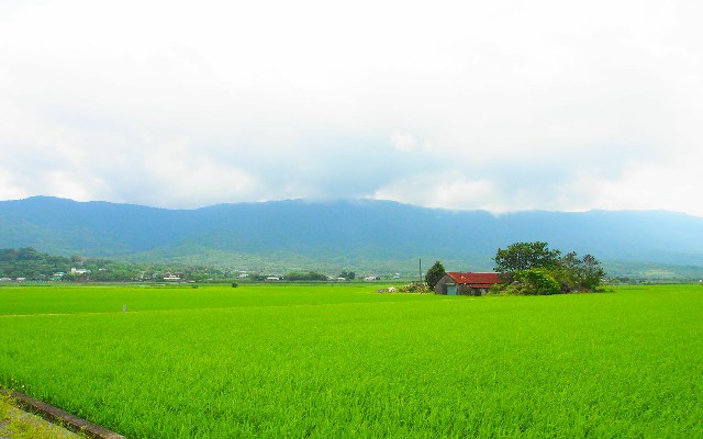 垦利白条取现_联通花呗 手机套餐