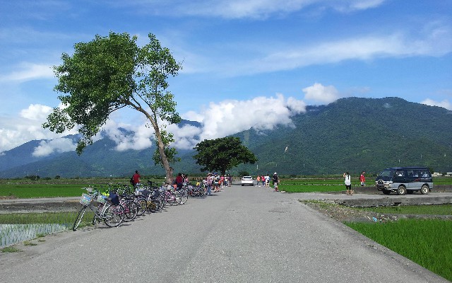 套1000花呗_商家支付宝花呗收款关闭