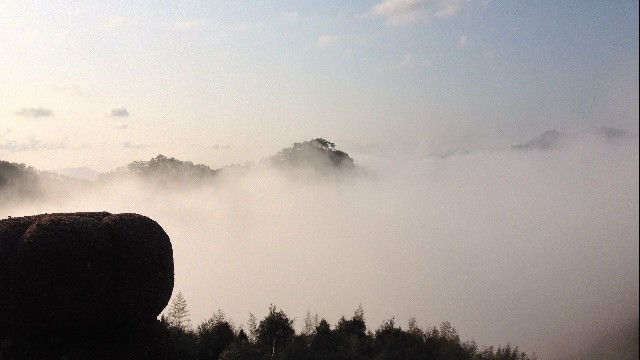 京东白条商家北京_商家收到花呗会扣费吗