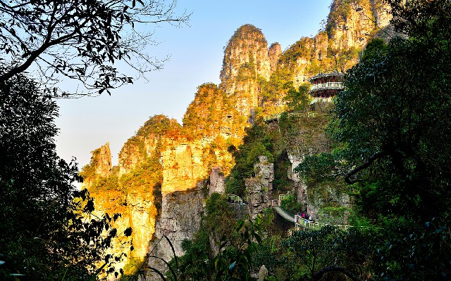 花呗转银行卡_花呗钱怎样转入银行卡上