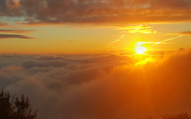 花呗套安全吗_攸县花呗取现