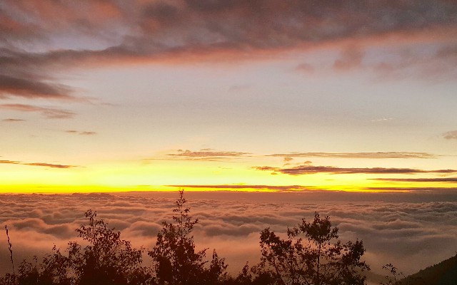 哪个小贷可以套花呗呀_羊小咩怎么套出来取现