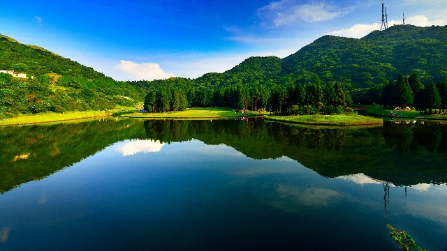 羊小咩额度能提现吗_医保线上怎么转出