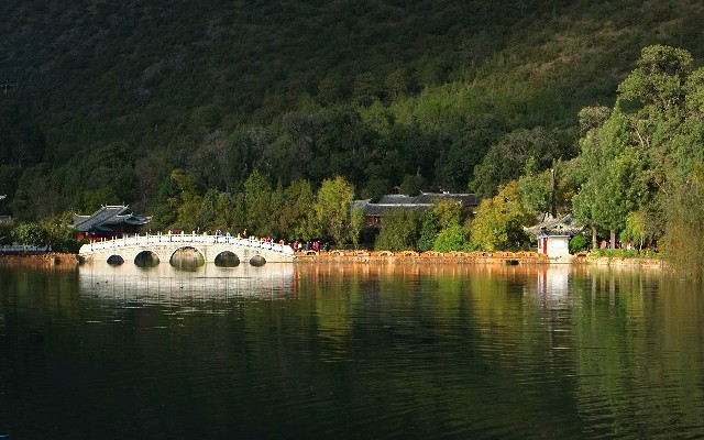 京东白条不可取现了吗_羊小咩提示额度状态冻结