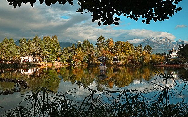 花呗 充值微信_南京白条套现