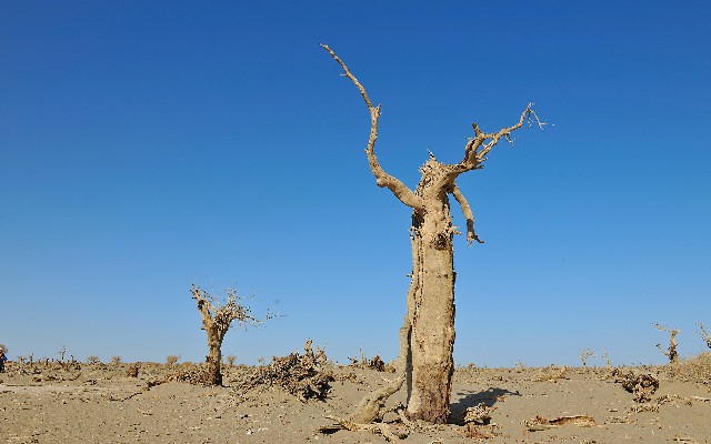 花呗红包什么套路_羊小咩的购物金能提现吗