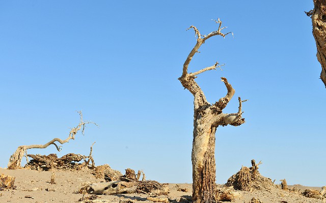 羊小咩享花卡套现商家_银行卡扣花呗借呗