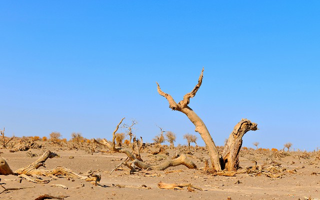月付提现抖音能提现吗安全吗_马云花呗套路