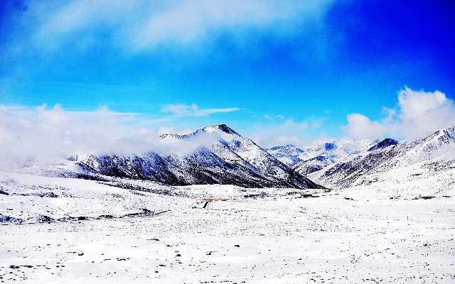 抖音月付取出来的方法_蚂蚁花呗24000