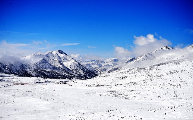 商家码收花呗花呗收款_羊小咩现在下款吗