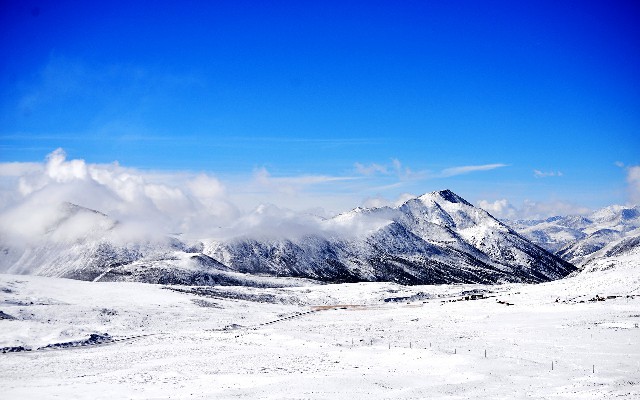 羊小咩购物提前结清_羊小咩套黄金还是手机