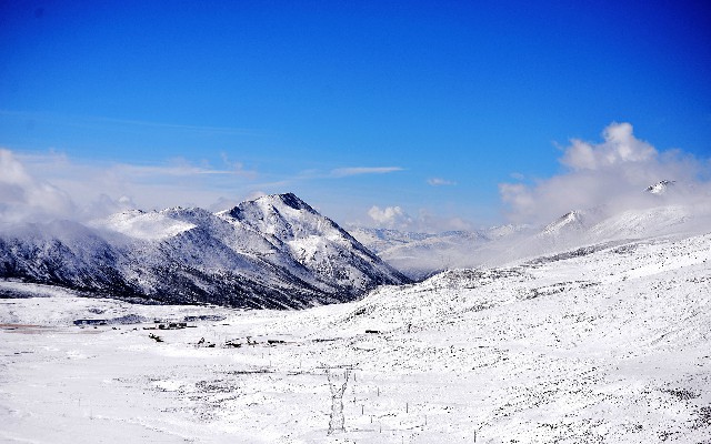 羊小咩享花卡商家取现_抖音月付仓鼠商家