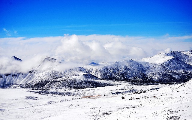 花呗银行卡收不到验证码_羊小咩有额度不能提现