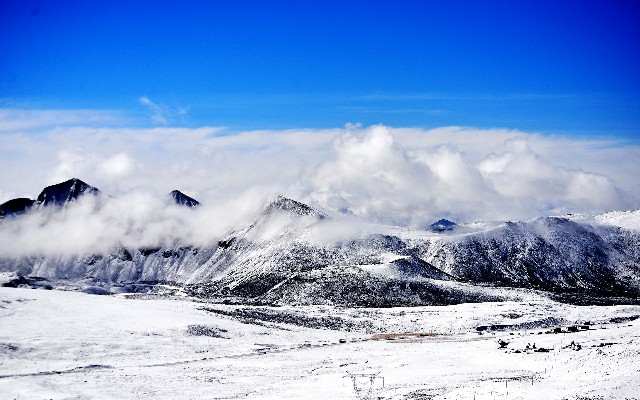 花呗套装红包_支持抖音月付的百货商家