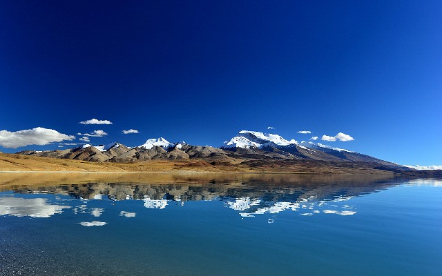 东营 医保卡套现_羊小咩100额度谁能套