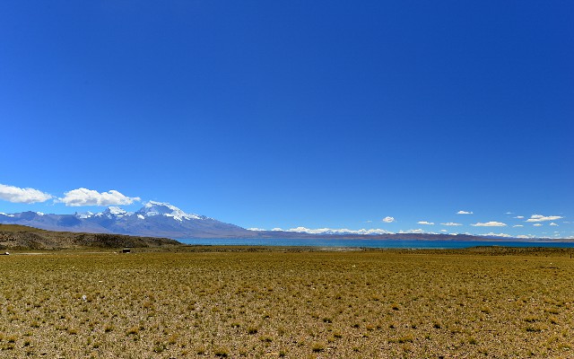 怎么申请商家花呗_白条被风控后能套出来吗