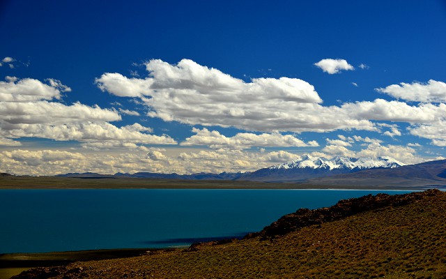 怎么开始抖音月付提现到微信_花呗付款商家利息